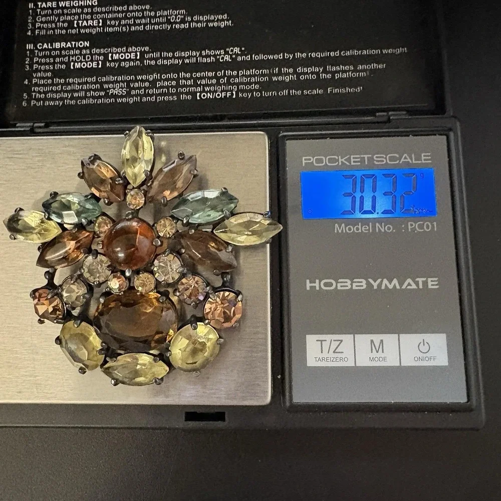 Schiaparelli vintage brooch